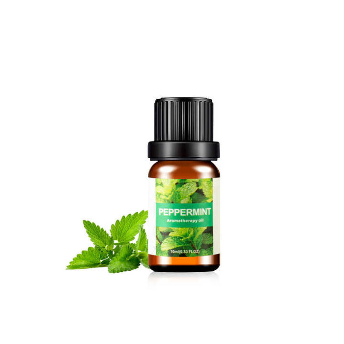 Therapeutic Grade Aromatherapy Essential Oil – Peppermint Blend for Diffusers & Wellness Use