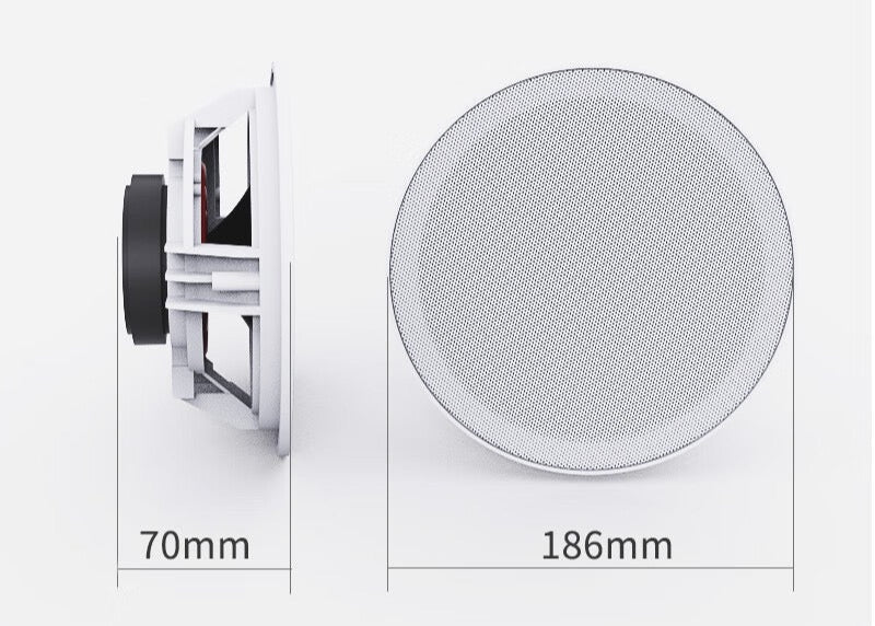 Waterproof Ceiling Speaker with Bass Radiator – Designed for Spa & Steam Environments